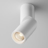 Потолочный светильник MAYTONI DAFNE C027CL-L10W