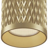 Потолочный светильник MAYTONI FOCUS DESIGN C036CL-01G