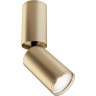 Потолочный светильник MAYTONI FOCUS S C051CL-01G