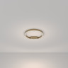 Потолочный светильник MAYTONI RIM MOD058CL-L25BSK