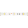 Светодиодная лента MAYTONI 12В 5050 7,2Вт/м RGB 5м IP65 10127