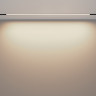 Трековый светильник MAYTONI BASIS TR030-2-30W3K-B