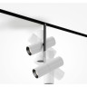 Трековый светильник MAYTONI ELTI DUO TR005-4-2X12W-DS-BW