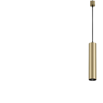 Трековый подвесной светильник MAYTONI FOCUS TR025-1-GU10-MG