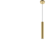 Подвесной светильник MAYTONI PRO FOCUS MOD161PL-01G1