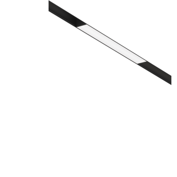 Трековый светильник MAYTONI BASIS TR074-2-12W4K-B