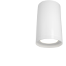 Потолочный светильник MAYTONI FOCUS S C052CL-01W