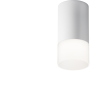 Потолочный светильник MAYTONI PAULINE C007CW-01W