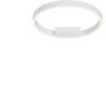 Потолочный светильник MAYTONI RIM MOD058CL-L25WK