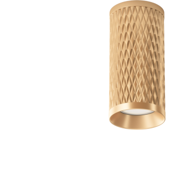 Потолочный светильник MAYTONI FOCUS DESIGN C036CL-01G