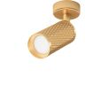Потолочный светильник MAYTONI FOCUS DESIGN C034CL-01G