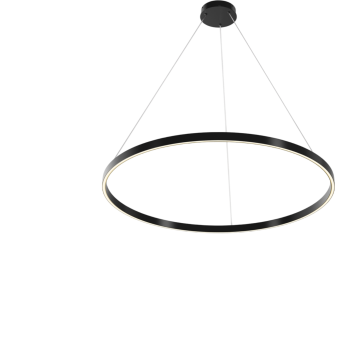 Подвесной светильник MAYTONI RIM MOD058PL-L54BK