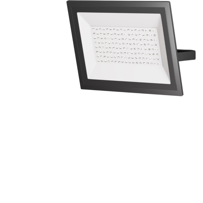 Прожектор MAYTONI FLOOD FL001-L100B6K