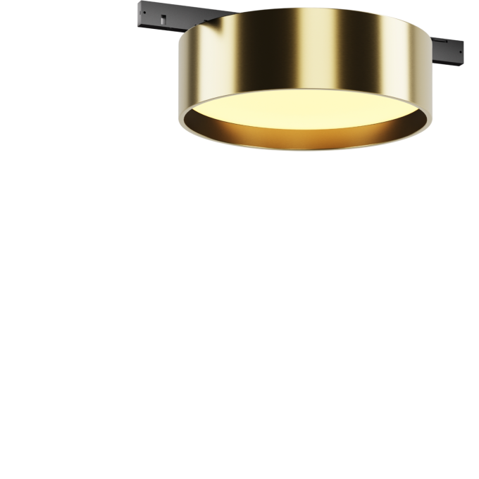 Трековый светильник MAYTONI ZON LEVITY TR189-1-12W2.7K-BBS