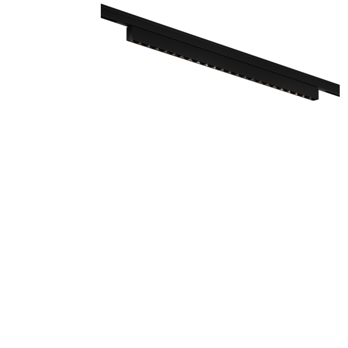 Трековый светильник MAYTONI POINTS LEVITY TR193-1-20W2.7K-M-B