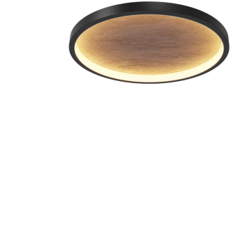 Потолочный светильник MAYTONI ORIGN MOD311CL-L40B3K