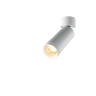 Потолочный светильник MAYTONI FOCUS ZOOM C055CL-L12W2.7K-Z-W