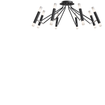 Потолочный светильник MAYTONI VIGO MOD620CL-16B
